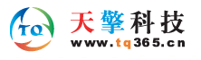 上海天擎信息技術(shù)有限公司