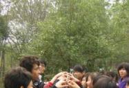 班級風采:愛因為在心中
