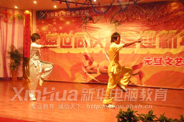 精彩的武術(shù)表演