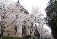 中國十大景色最美的大學(組圖)