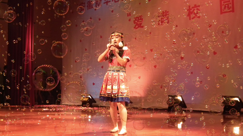 安徽新華電腦專修學(xué)院_青藏高原