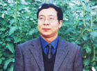 一束迎春花
