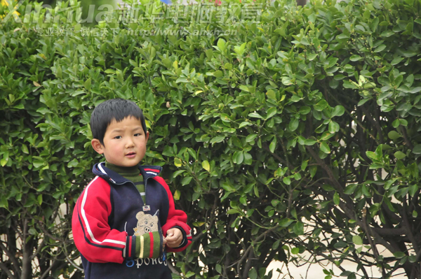 ��ʹ�ŵش����֣��㿴���ˆ᣿