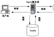 利用SQUID做透明代理實現內網訪問Internet