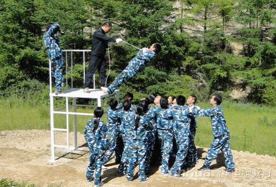 信任背摔