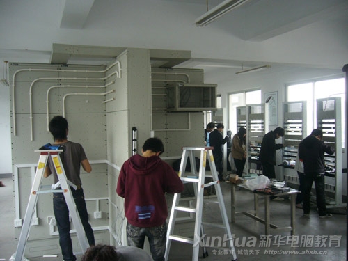 W(xu)ھW(wng)j(lu)CϲӖ(xn)Ӗ(xn)