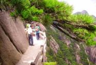 青春自定義,新生故事系列——來自黃山的勁松